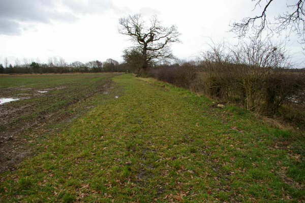 Footpath No. 05: Broad Oak Lane to Smith Lane: 03/2006