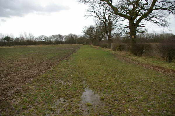 Footpath No. 05: Broad Oak Lane to Smith Lane: 03/2006