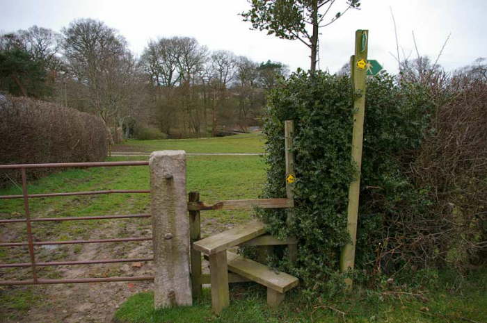 FP1 Hobcroft Lane to Valewood Farm - NCW