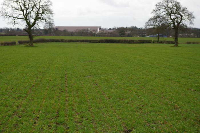 FP1 Hobcroft Lane to Valewood Farm - NCW