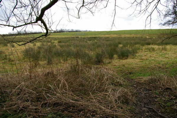 FP75 Sugar Brook to Hobcroft Lane