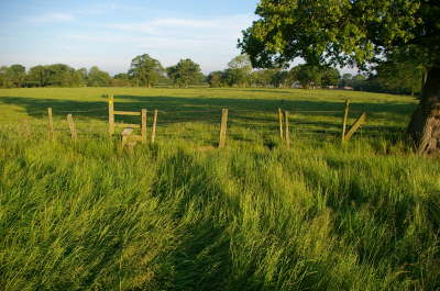 FP76:  From FP75 to Small Lane (Owen House Farm)
