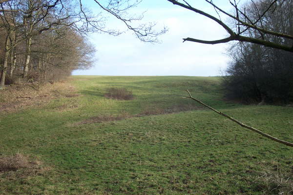 Footpath No.7