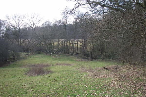 Footpath No.7 Broad Oak Lane to Birkin Brook