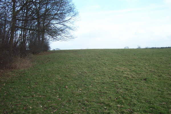 Footpath No.7